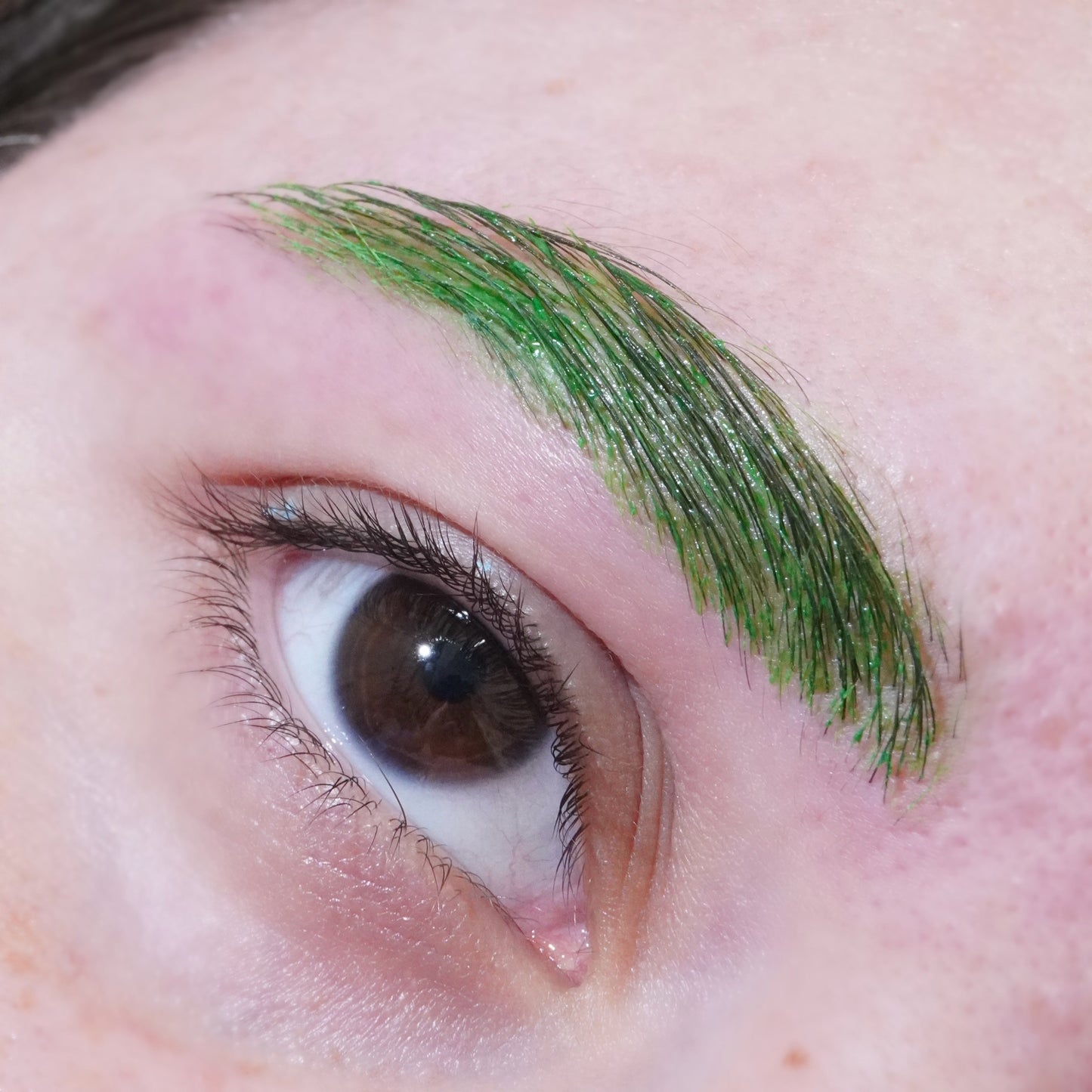 Dino (Green) Spectra Brow - Brow Cream - Glisten Cosmetics