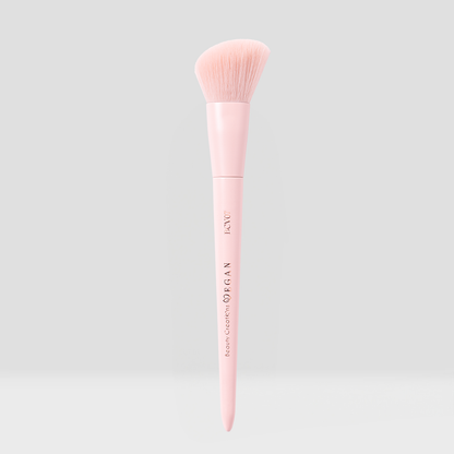 Vegan Brushes
