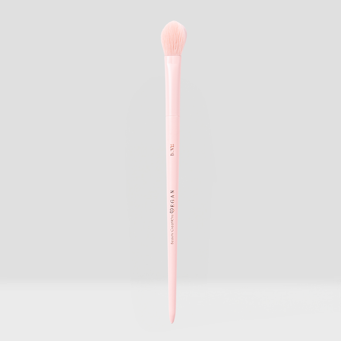 Vegan Brushes