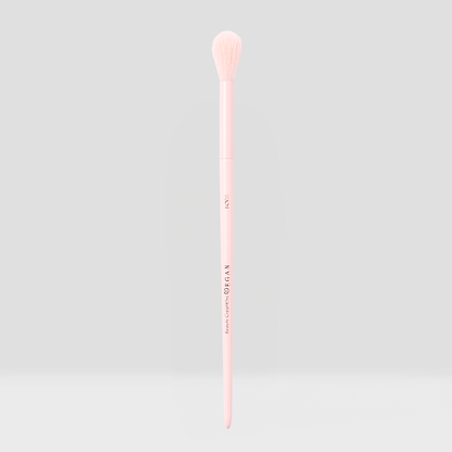 Vegan Brushes