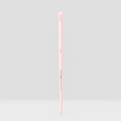 Vegan Brushes