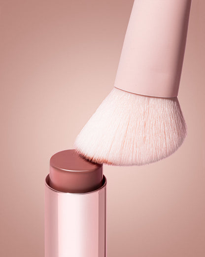 Vegan Brushes