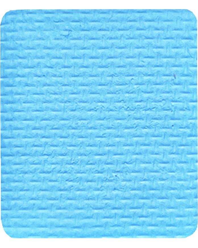 Gavissi Beauty - "BLUE RASPBERRY" SINGLE LINER PAN (UV)