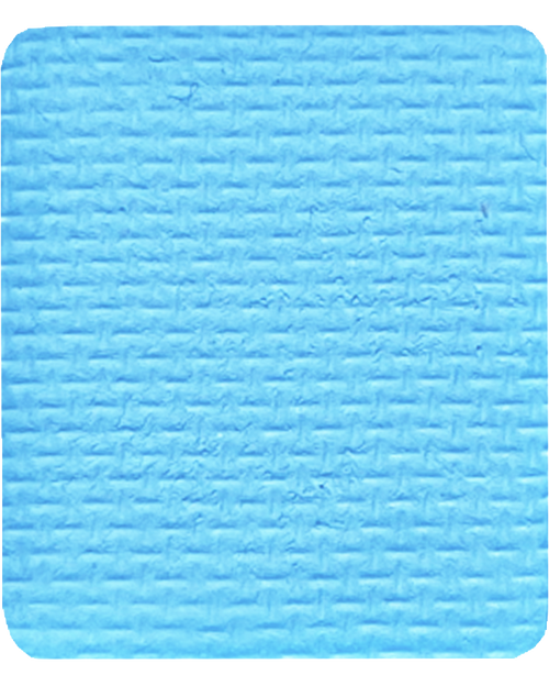 Gavissi Beauty - "BLUE RASPBERRY" SINGLE LINER PAN (UV)