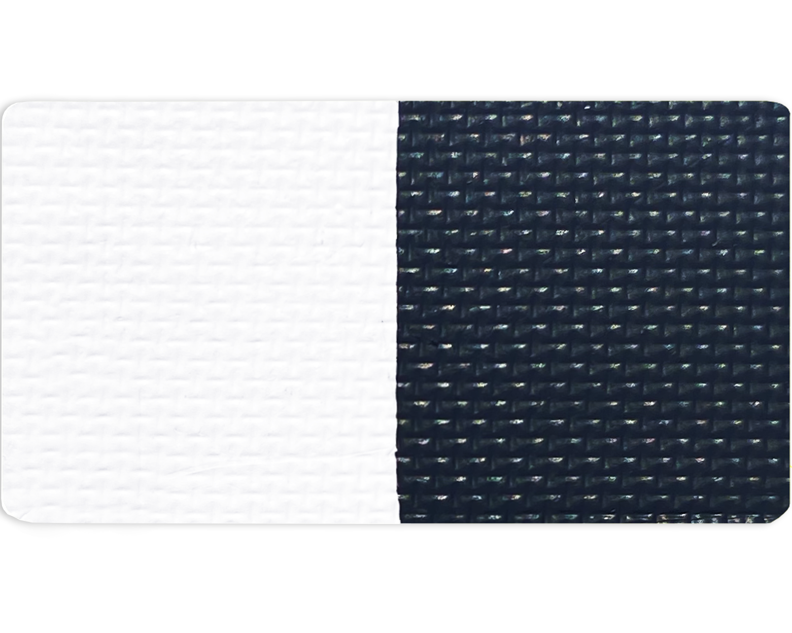 Gavissi Beauty - "MIDNIGHT"- DOUBLE SPLIT LINER PAN (MATTE)