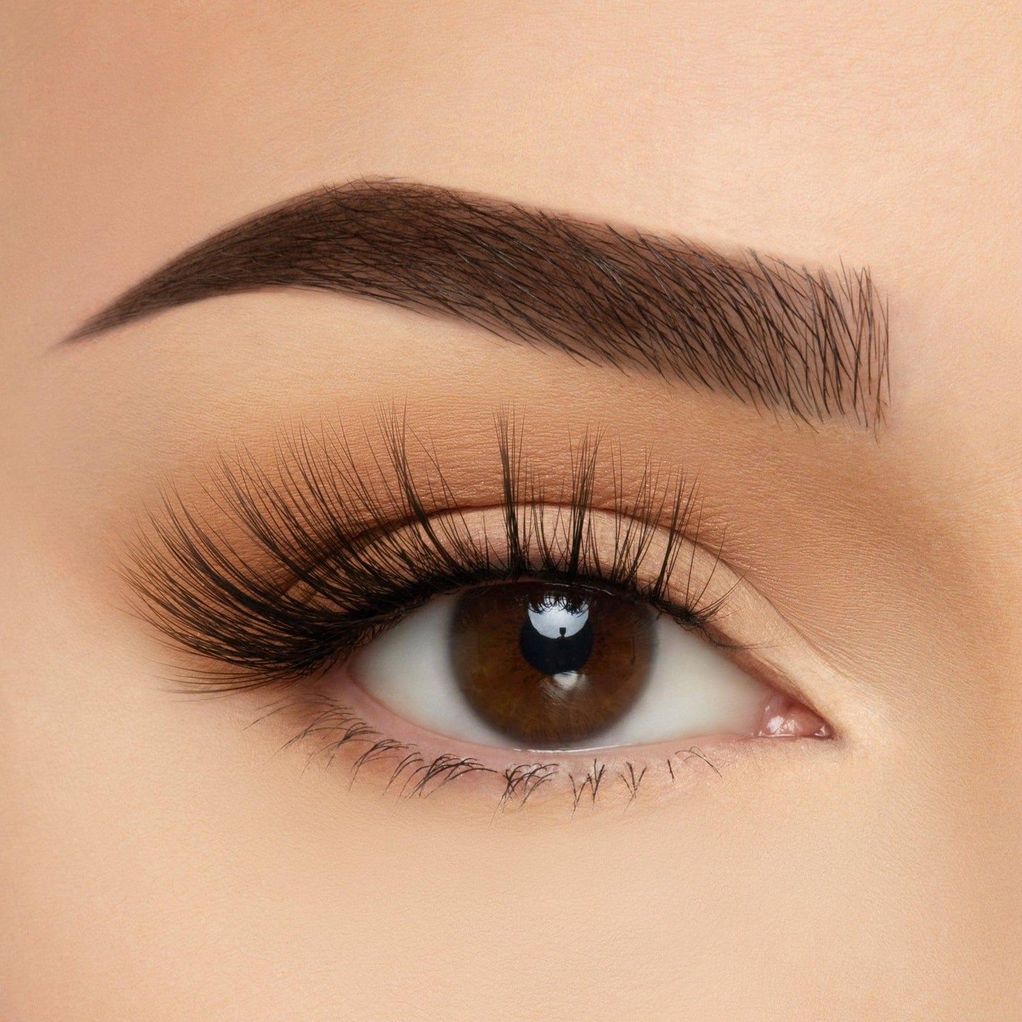 Take Me Somewhere Silk Lashes