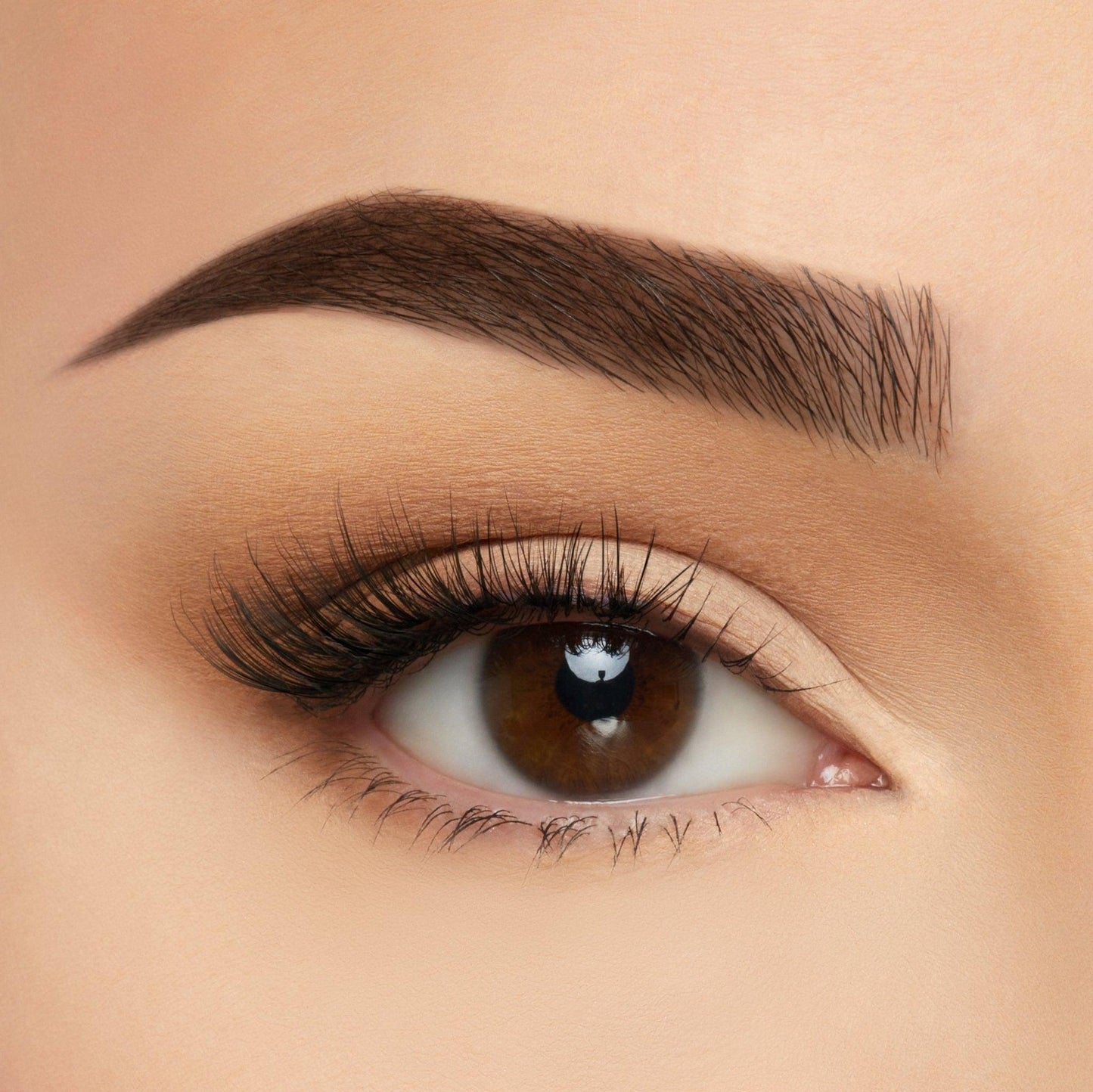 Take Me Somewhere Silk Lashes