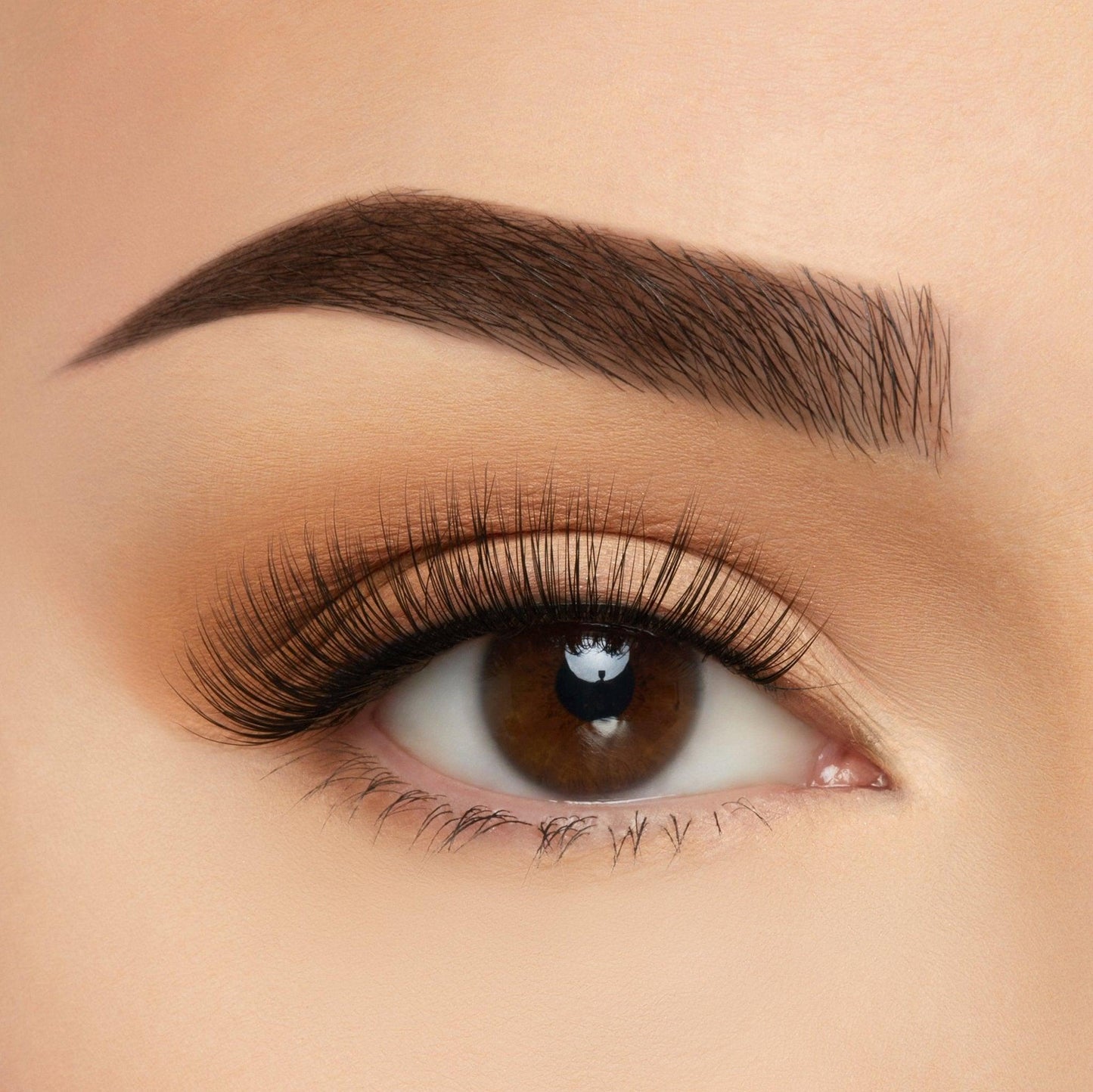 Take Me Somewhere Silk Lashes