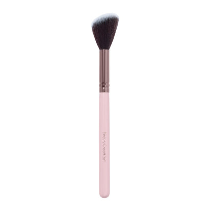 Pretty and Perfect 24 PC Brush Set
