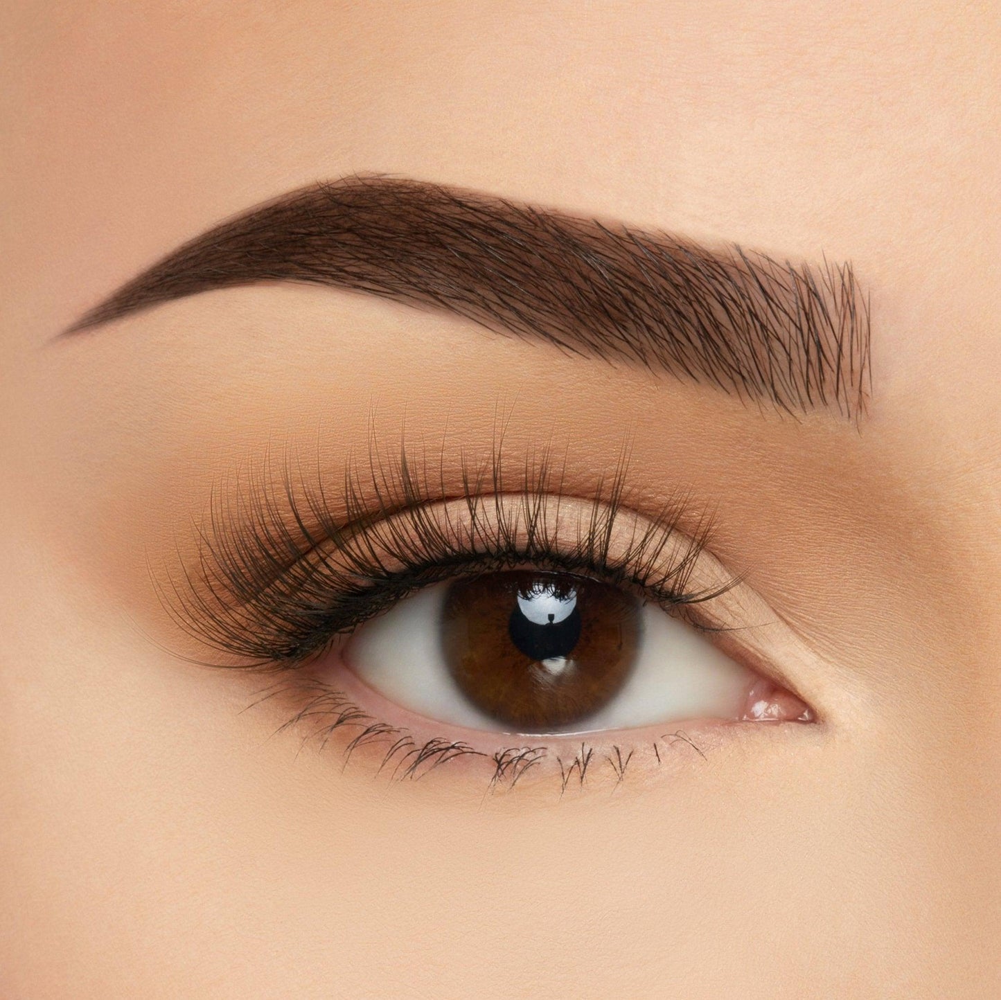 Take Me Somewhere Silk Lashes