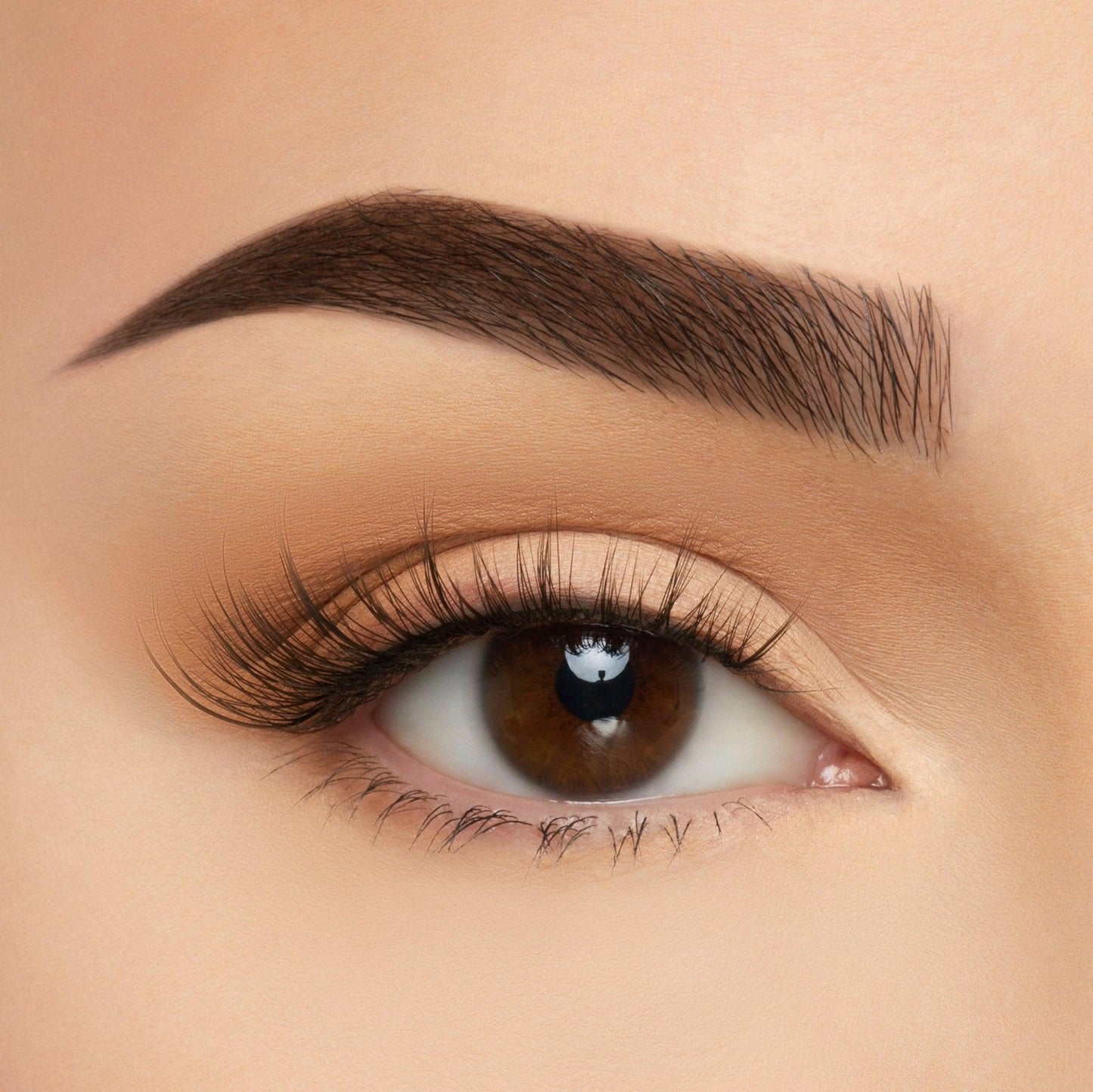 Take Me Somewhere Silk Lashes